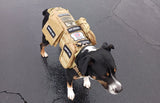 Heavy Duty Tactical Dog Vest & Leash