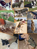 Heavy Duty Tactical Dog Vest & Leash - USA Service Animal Registration