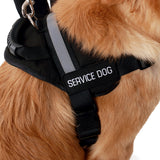 Emotional Support Vest w/ Handle Deluxe Registration Package ($250 Value) New Item - USA Service Animal Registration