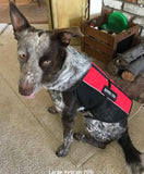 Emotional Support Animal Lightweight Mesh Vest - USA Service Animal Registration