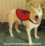 Service Dog Vest - USA Service Animal Registration