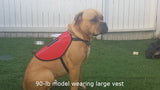 Emotional Support Animal Vest - USA Service Animal Registration