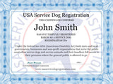 Service Dog Light Mesh Vest Basic Registration Package - USA Service Animal Registration