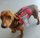 Emotional Support Animal Basic Registration Package - USA Service Animal Registration