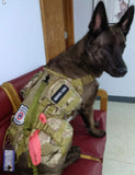Heavy Duty Tactical Dog Vest & Leash - USA Service Animal Registration