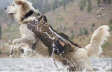 Heavy Duty Tactical Dog Vest & Leash - USA Service Animal Registration