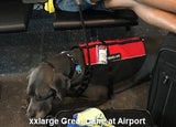 Emotional Support Animal Lightweight Mesh Vest - USA Service Animal Registration