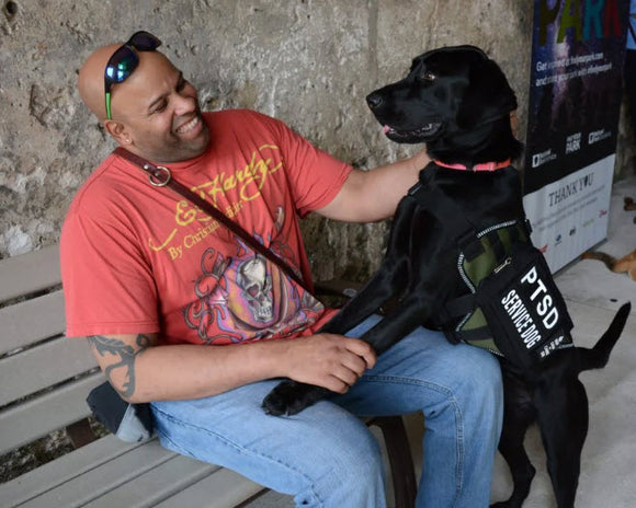 The Healing Power of Psychiatric Service Dogs for People with PTSD