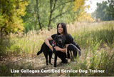 OnLine Service Dog Training Course