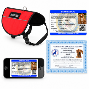 Updated Service Dog Basic Registration Package image based on the store's photos