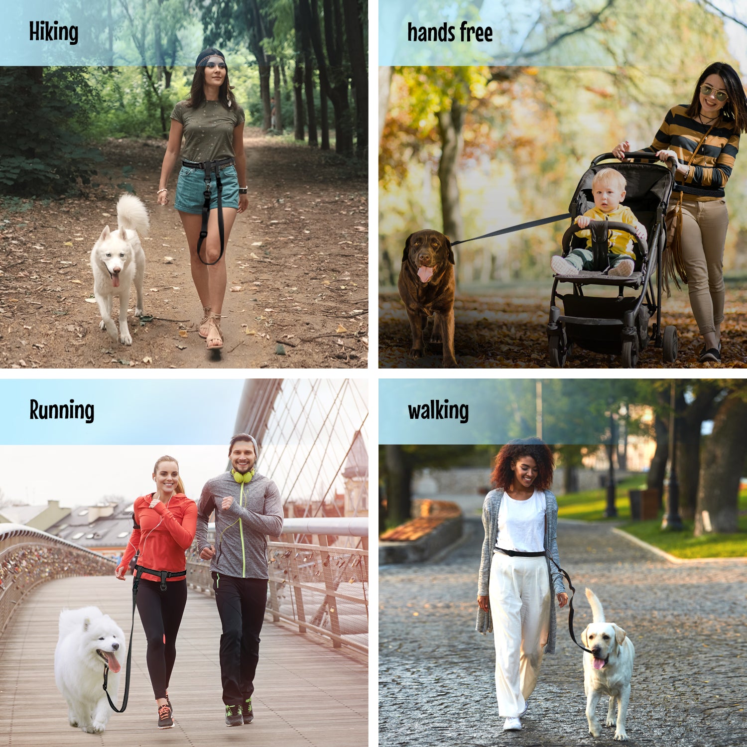 The buddy system leash sales