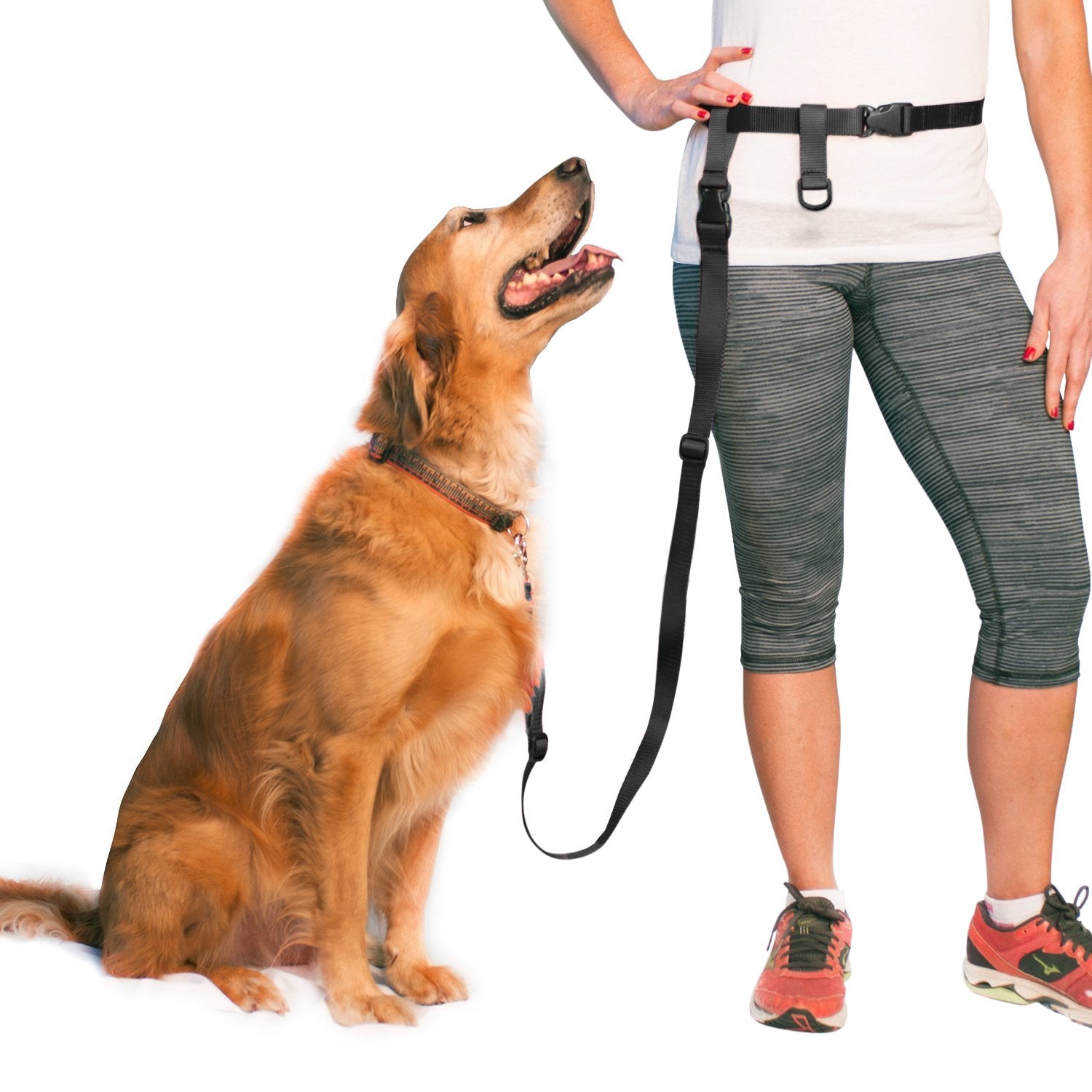 Hands free store service dog leash