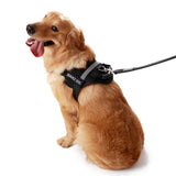 Service Dog Vest With Handle - USA Service Animal Registration