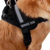 Service Dog Vest With Handle - USA Service Animal Registration