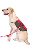 Service Dog Light Weight Mesh Vest Deluxe Registration Package - USA Service Animal Registration