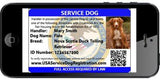 Service Dog Vest w/ Handle Basic Registration Package - USA Service Animal Registration
