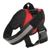 Service Dog Vest With Handle