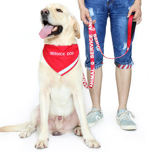 Service Dog Scarf & Collar - USA Service Animal Registration