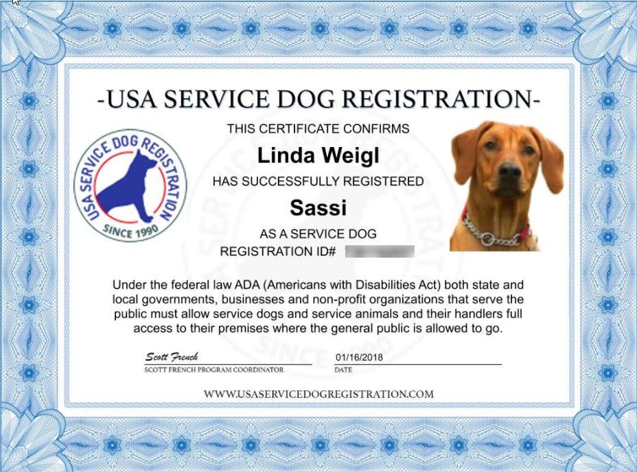 Service Dog Vest and ID Package USA Service Animal Registration