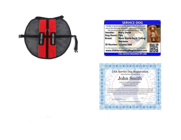 Service dog best sale papers and vest