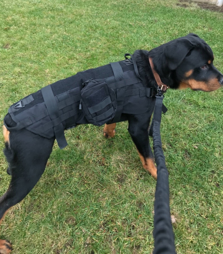 Tactical Service Dog Vest Package USA Service Animal Registration