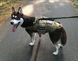 Heavy Duty Tactical Dog Vest & Leash - USA Service Animal Registration