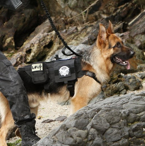 Heavy Duty Tactical Dog Vest Leash - Main Image