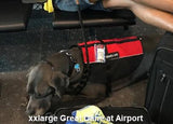 Service Dog Vest Lightweight Mesh - USA Service Animal Registration